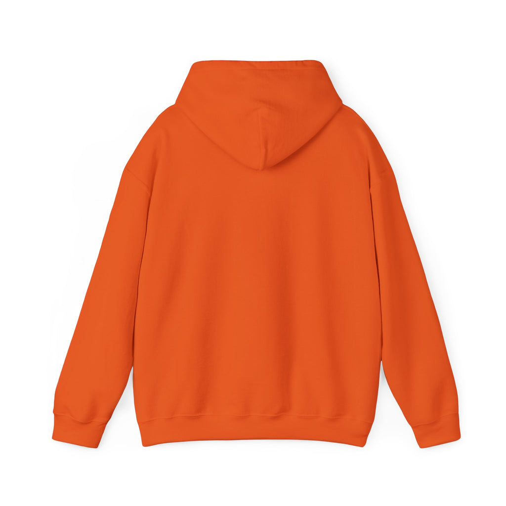 Wyoming Mining & Oil Hoodie