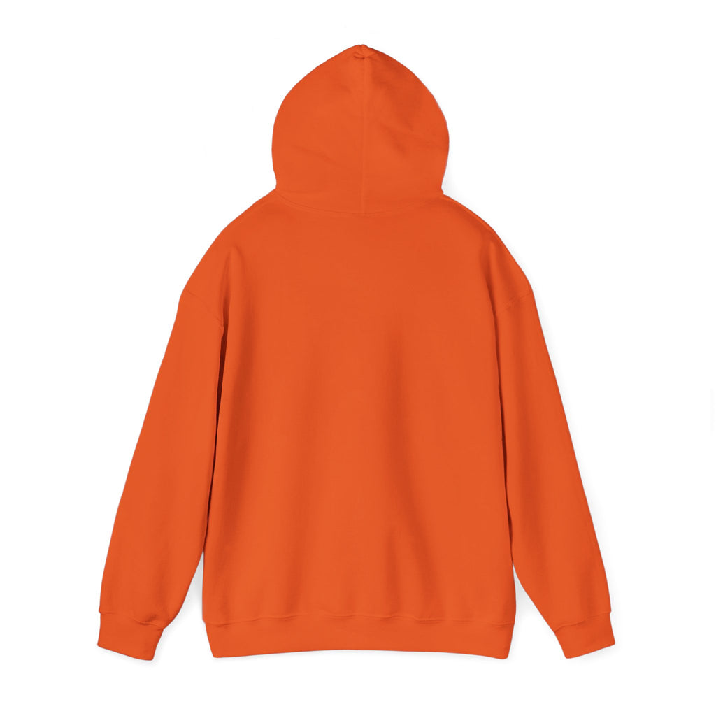Wyoming Mining & Oil Hoodie