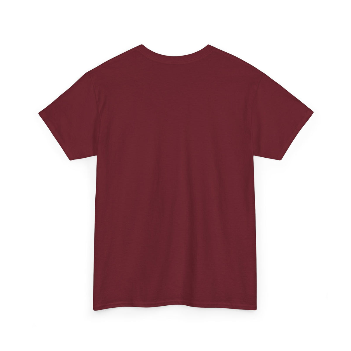Faith In My Compass T-Shirt — Christian Compass Graphic Tee