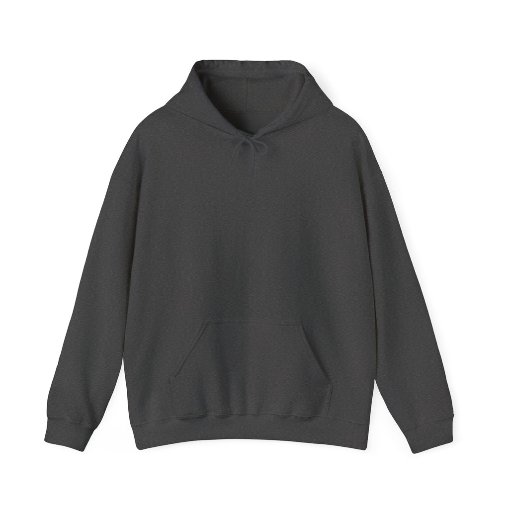 Faith Over Fear Hooded Sweatshirt - Unisex Christian Apparel