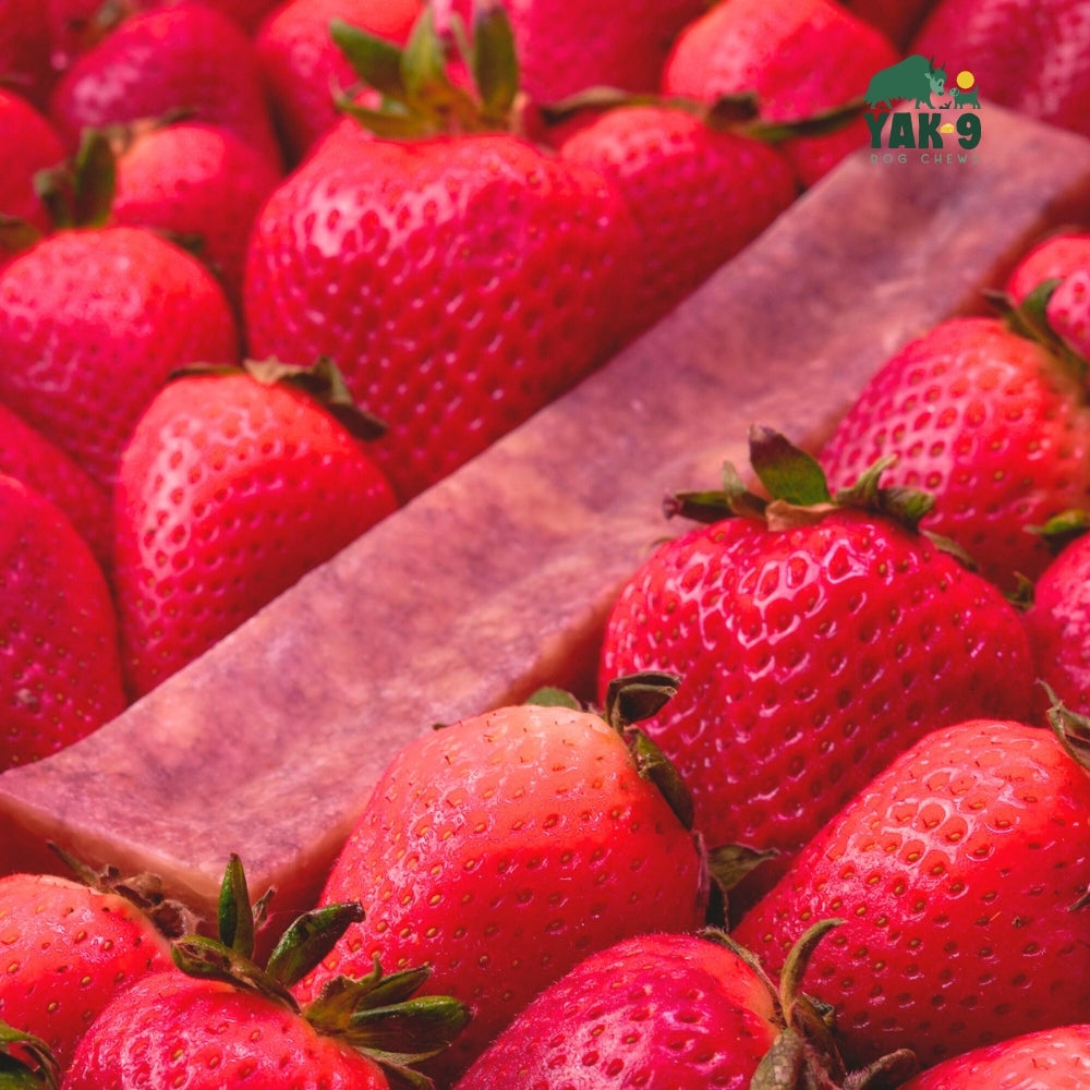 Strawberry Cheese Chews for Dogs